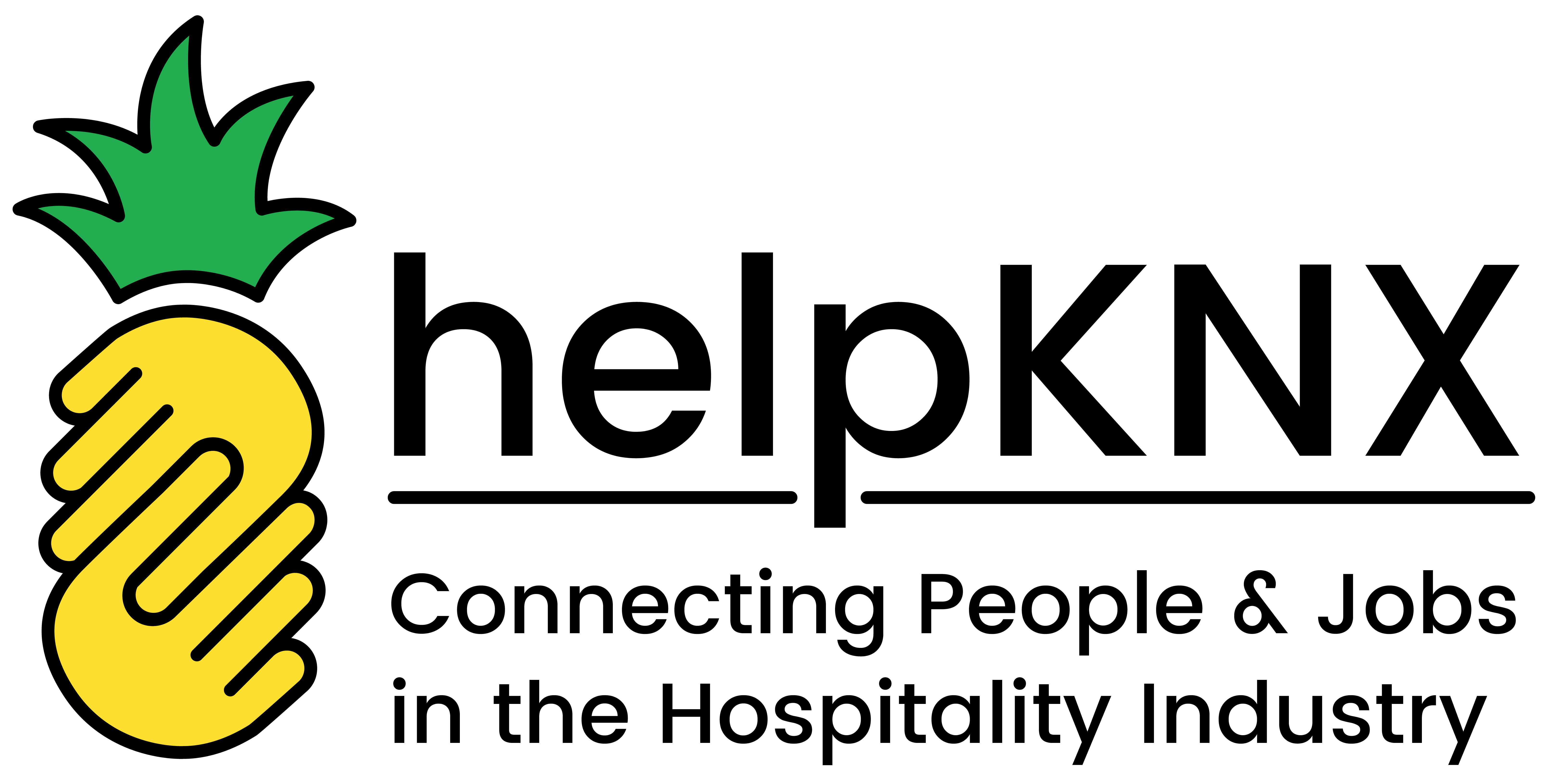 big logo img -helpknx